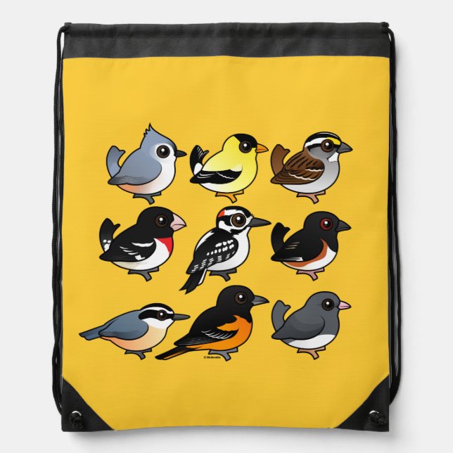 9 Northeast USA Backyard Birds Drawstring Bag (Front)