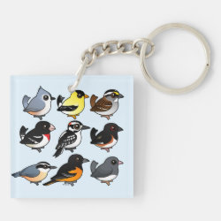9 Northeast USA Backyard Birds Square Keychain (double-sided)