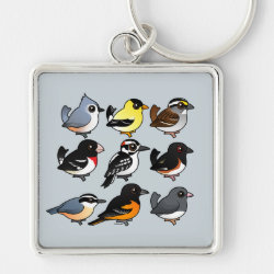 9 Northeast USA Backyard Birds Premium Square Keychain