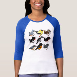 9 Northeast USA Backyard Birds Ladies Raglan Fitted T-Shirt