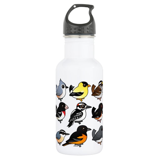 9 Northeast USA Backyard Birds Water Bottle (Front)