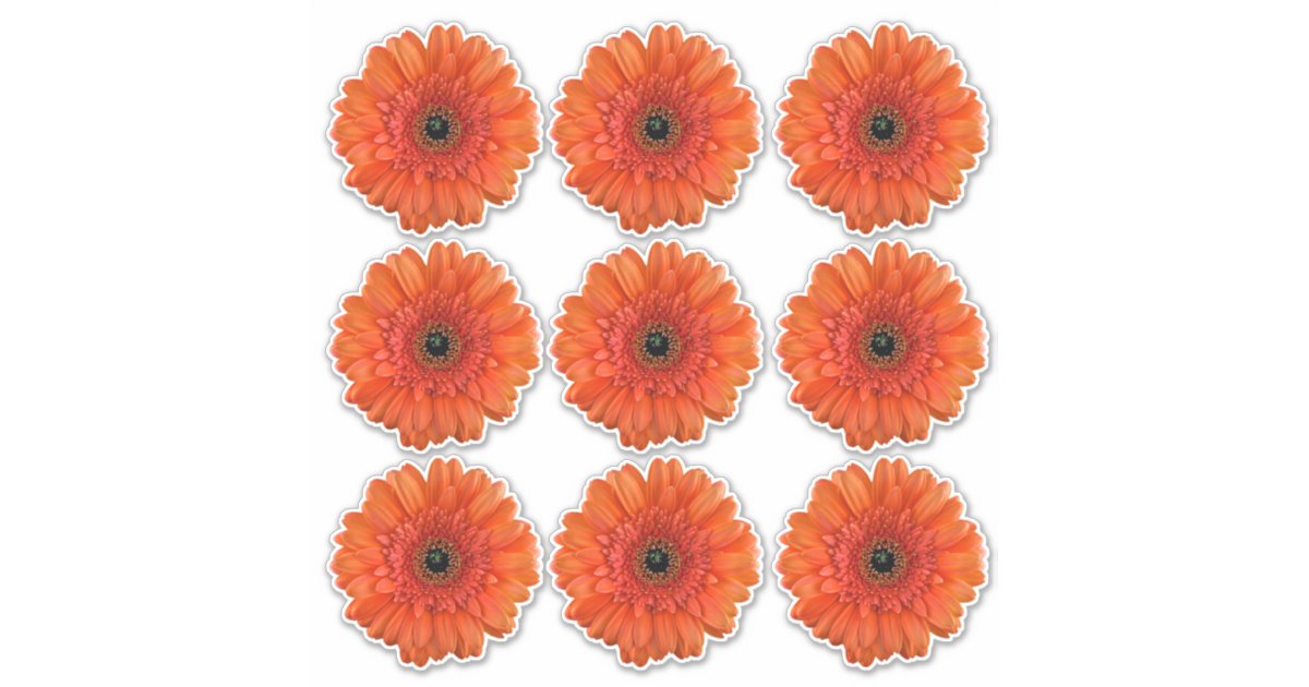 9 Orange Gerbera Daisy Flower Kiss-Cut Stickers | Zazzle