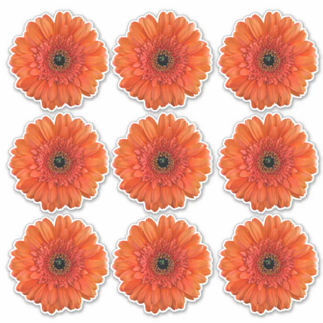 9 Orange Gerbera Daisy Flower Kiss-Cut Stickers | Zazzle