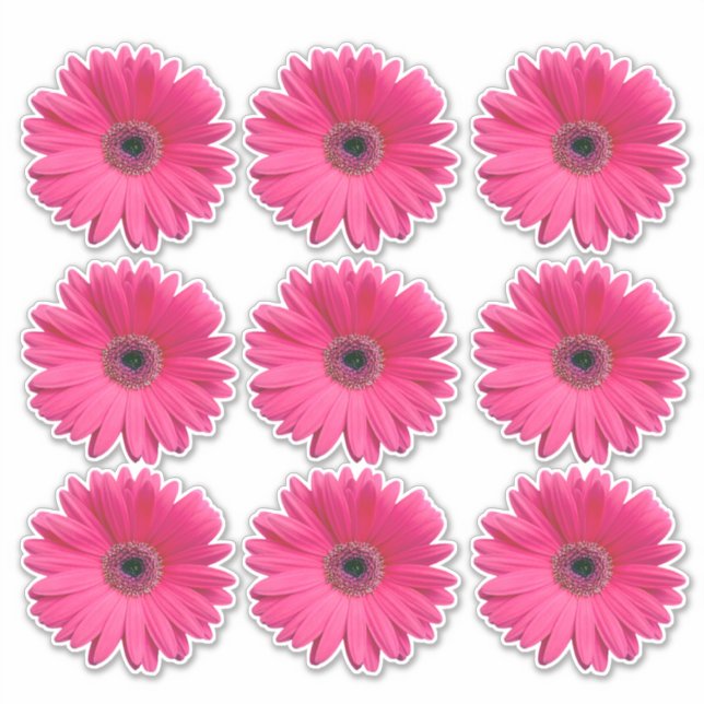 9 Pink Gerbera Daisy Flower Kiss-Cut Stickers (Front)