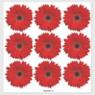 9 Red Gerber Daisy Flower Kiss-Cut Stickers