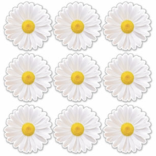 9 Shasta Daisy Flower Kiss-Cut Stickers
