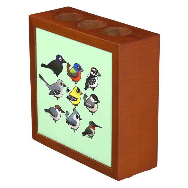 9 Southeast USA Backyard Birds Pencil Holder (Angled)