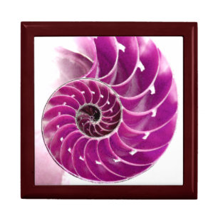 A01. Chambered Nautilus Tiled Box.1 Keepsake Box
