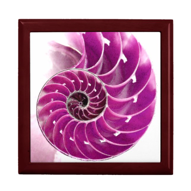 A01. Chambered Nautilus Tiled Box.1 Keepsake Box (Front)