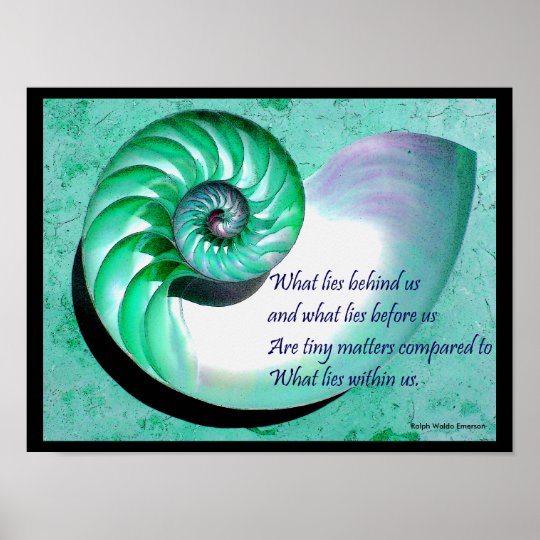 A01 Nautilus Shell Poster with Inspirational Quote 