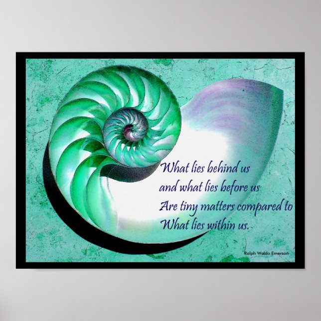 A01 Nautilus Shell Poster with Inspirational Quote (Front)