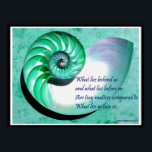 A01b Nautilus Shell Poster - Inspirational Quote<br><div class="desc">This poster is similar to another one in my store, but this one has a border.of white and black. This beautiful image of inner growth and development, and pushing past boundaries to new horizons, the Chambered Nautilus, is a very meaningful symbol. The quote by Emerson is reflective of the symbolism...</div>