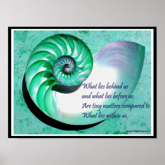 A01b Nautilus Shell Poster - Inspirational Quote