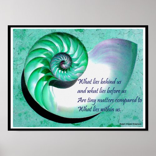 A01b Nautilus Shell Poster _ Inspirational Quote