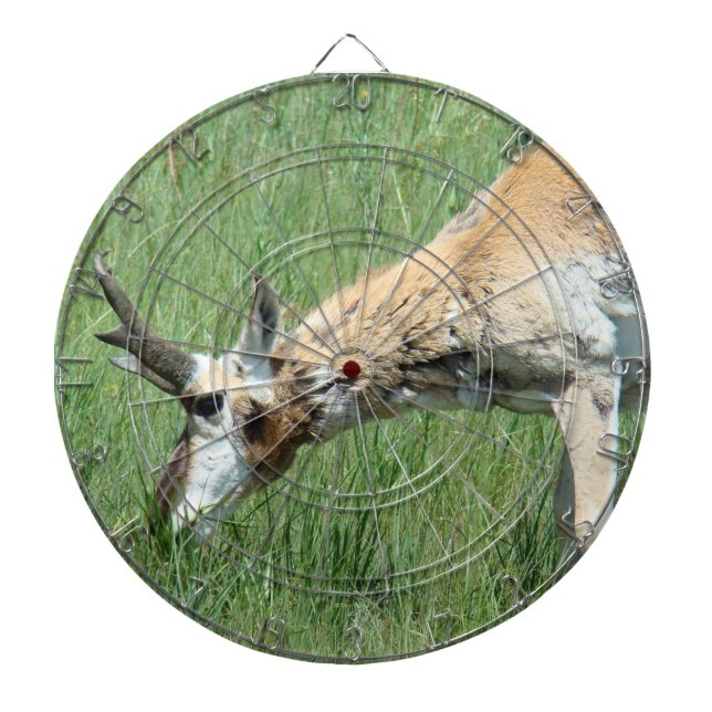 A11 Pronghorn Antelope Buck Grazing Dart Board (Front)