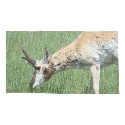 A11 Pronghorn Antelope Buck Grazing Pillow Case