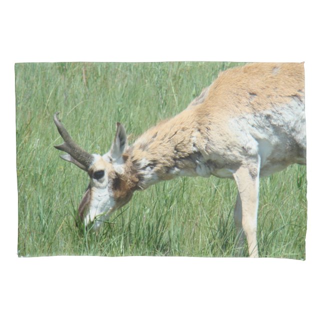 A11 Pronghorn Antelope Buck Grazing Pillow Case (Front)