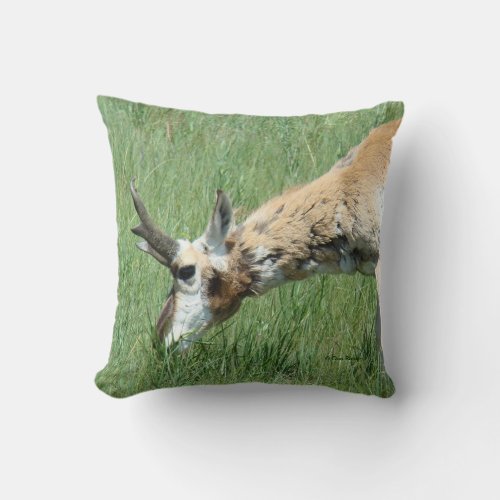 A11 Pronghorn Antelope Grazing Throw Pillow