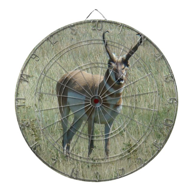 A13 Pronghorn Antelope Buck Dart Board (Front)