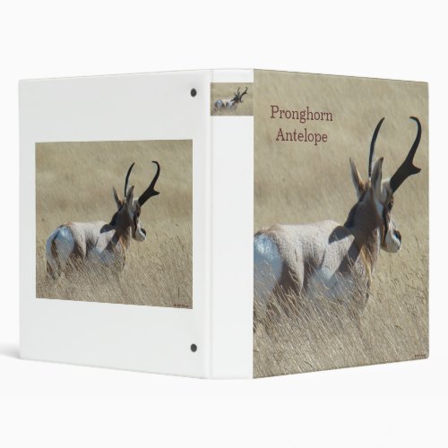 A14 Pronghorn Antelope Sunshine Buck 3 Ring Binder