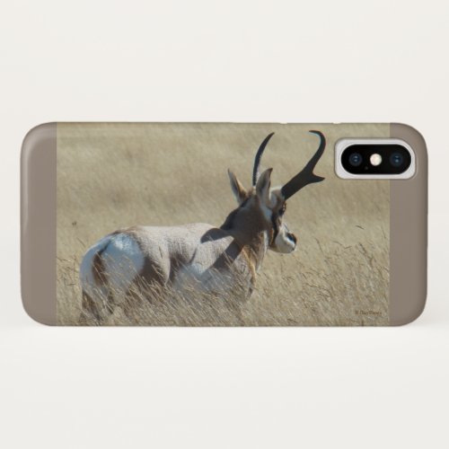 A14 Pronghorn Antelope Sunshine Buck iPhone X Case