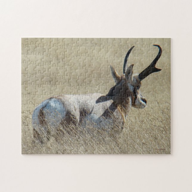 A14 Pronghorn Antelope Sunshine Buck Jigsaw Puzzle (Horizontal)