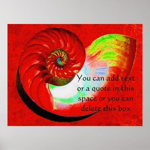 A15 Nautilus Shell Poster _ With Your Text _ 3