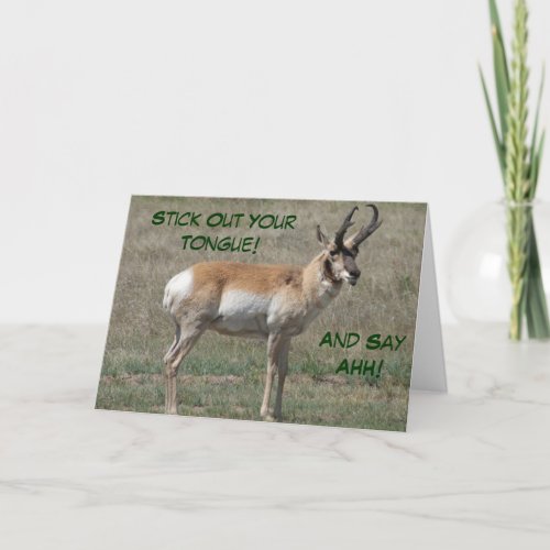 A15 Pronghorn Antelope Rude Buck Card