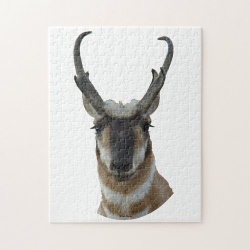 A19 Pronghorn Antelope Head Jigsaw Puzzle