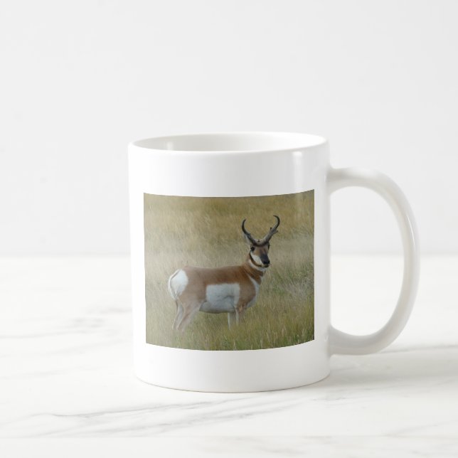 A1 Pronghorn Antelope Big Buck Coffee Mug (Right)