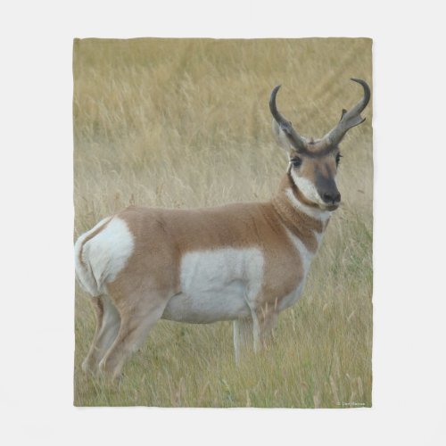 A1 Pronghorn Antelope Big Buck Fleece Blanket