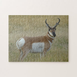A1 Pronghorn Antelope Big Buck Jigsaw Puzzle
