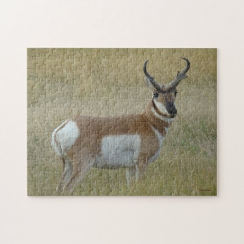 A1 Pronghorn Antelope Big Buck Jigsaw Puzzle