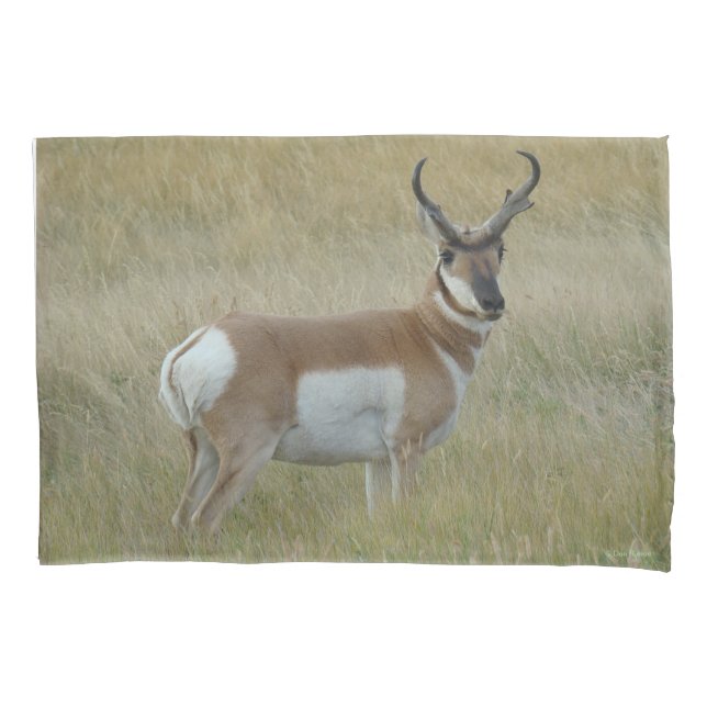 A1 Pronghorn Antelope Big Buck Pillow Case (Front)