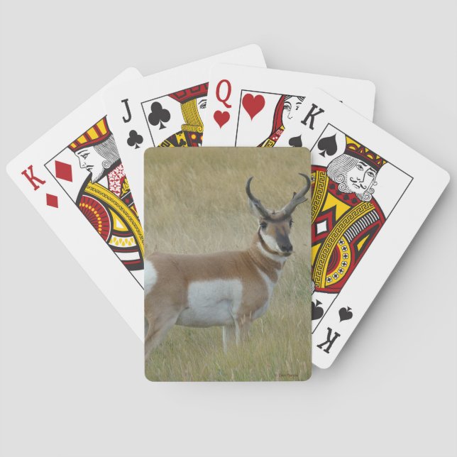 A1 Pronghorn Antelope Big Buck Poker Cards (Back)