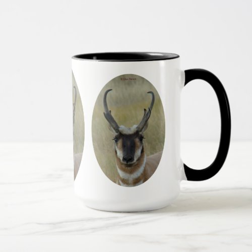 A20 Pronghorn Antelope Buck Black Face Head Shot Mug