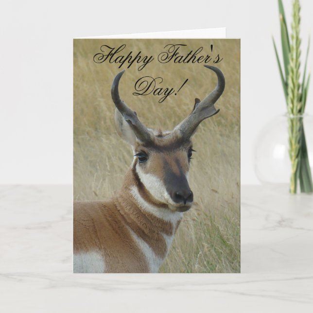 A21 Pronghorn Antelope Buck Card (Front)