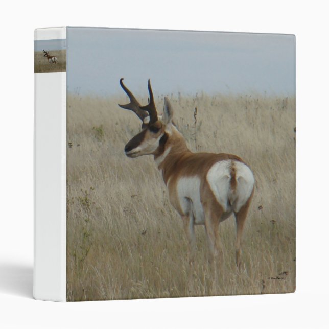 A22 Pronghorn Antelope Big Buck 3 Ring Binder (Front/Spine)