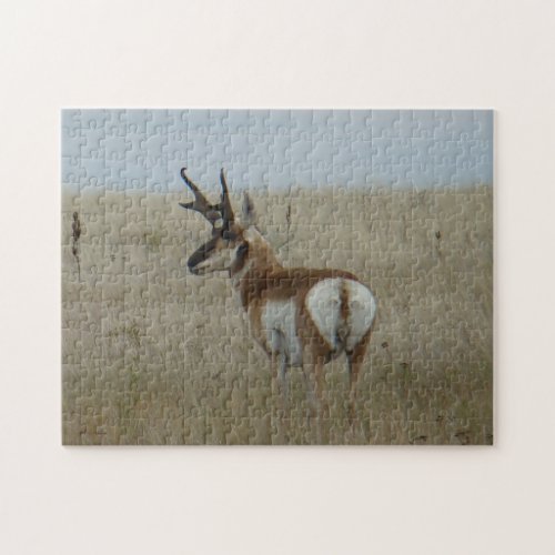 A22 Pronghorn Antelope Buck Jigsaw Puzzle