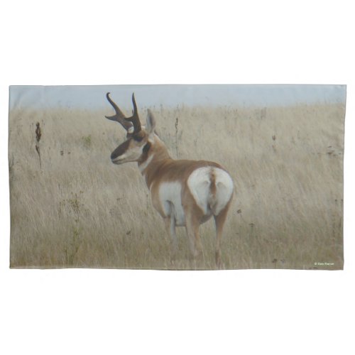 A22 Pronghorn Antelope Buck Pillow Case