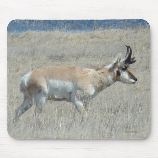 A25 Antelope Buck Mouse Pad (Front)