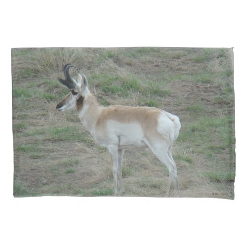 A26 Pronghorn Antelope Buck Pillow Case