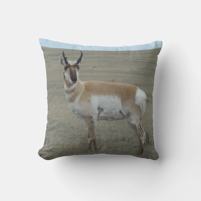 A28 Pronghorn Antelope Young Buck Throw Pillow (Front)