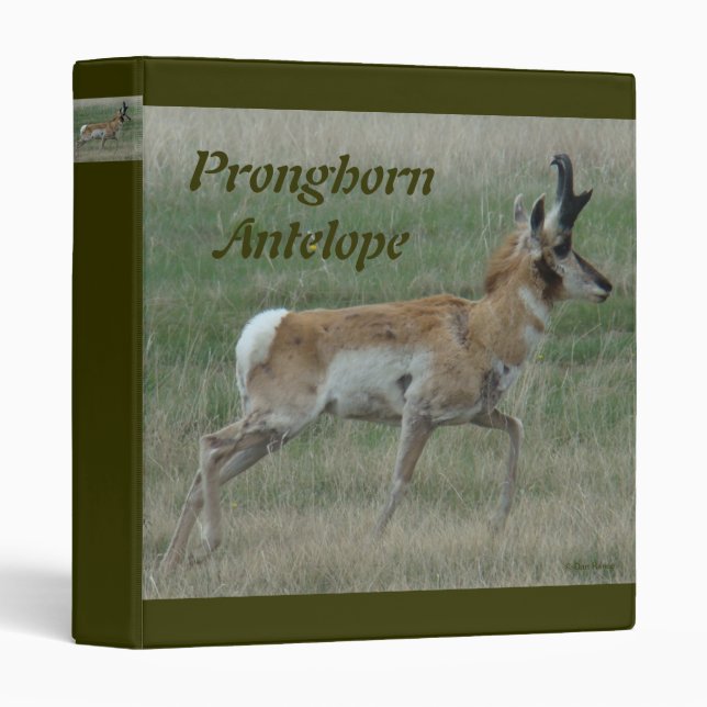 A32 Pronghorn Antelope Buck 3 Ring Binder (Front/Spine)