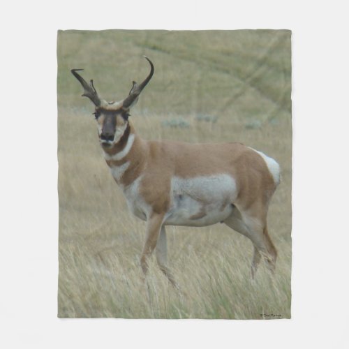 A33 Pronghorn Antelope Big Buck Crooked Horns Fleece Blanket