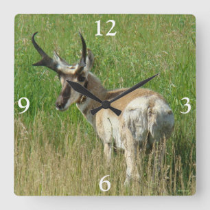 A35 Pronghorn Antelope Buck Square Wall Clock