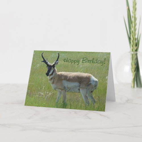 A36 Pronghorn Antelope Big Buck Card