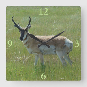 A36 Pronghorn Antelope Buck Square Wall Clock