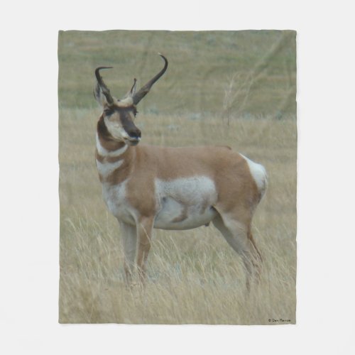 A37 Pronghorn Antelope Big Buck Crooked Horns Fleece Blanket