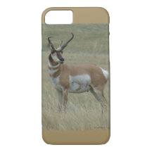 A37 Pronghorn Antelope Crooked Horns
